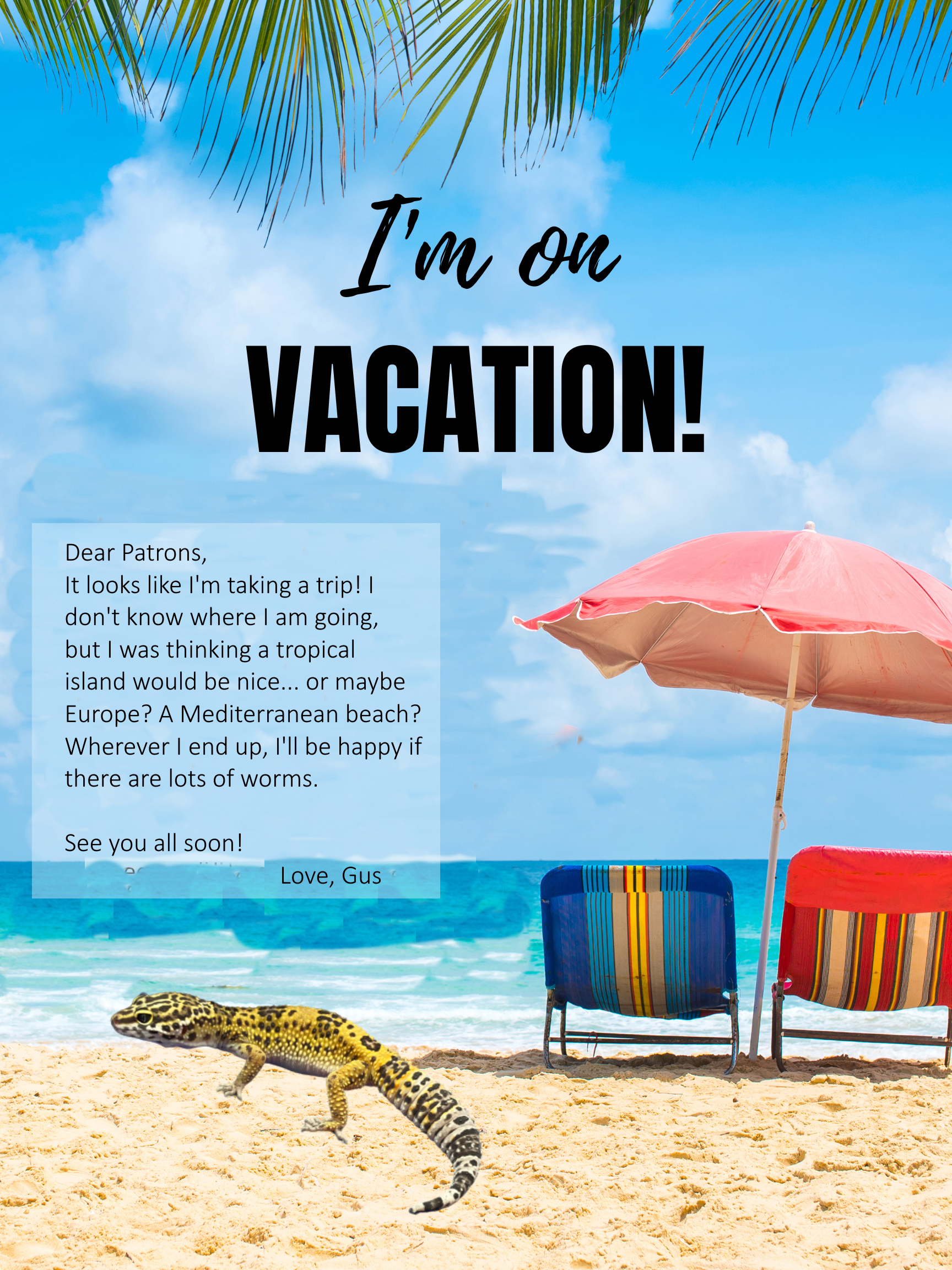 Gus on vacation image announcement